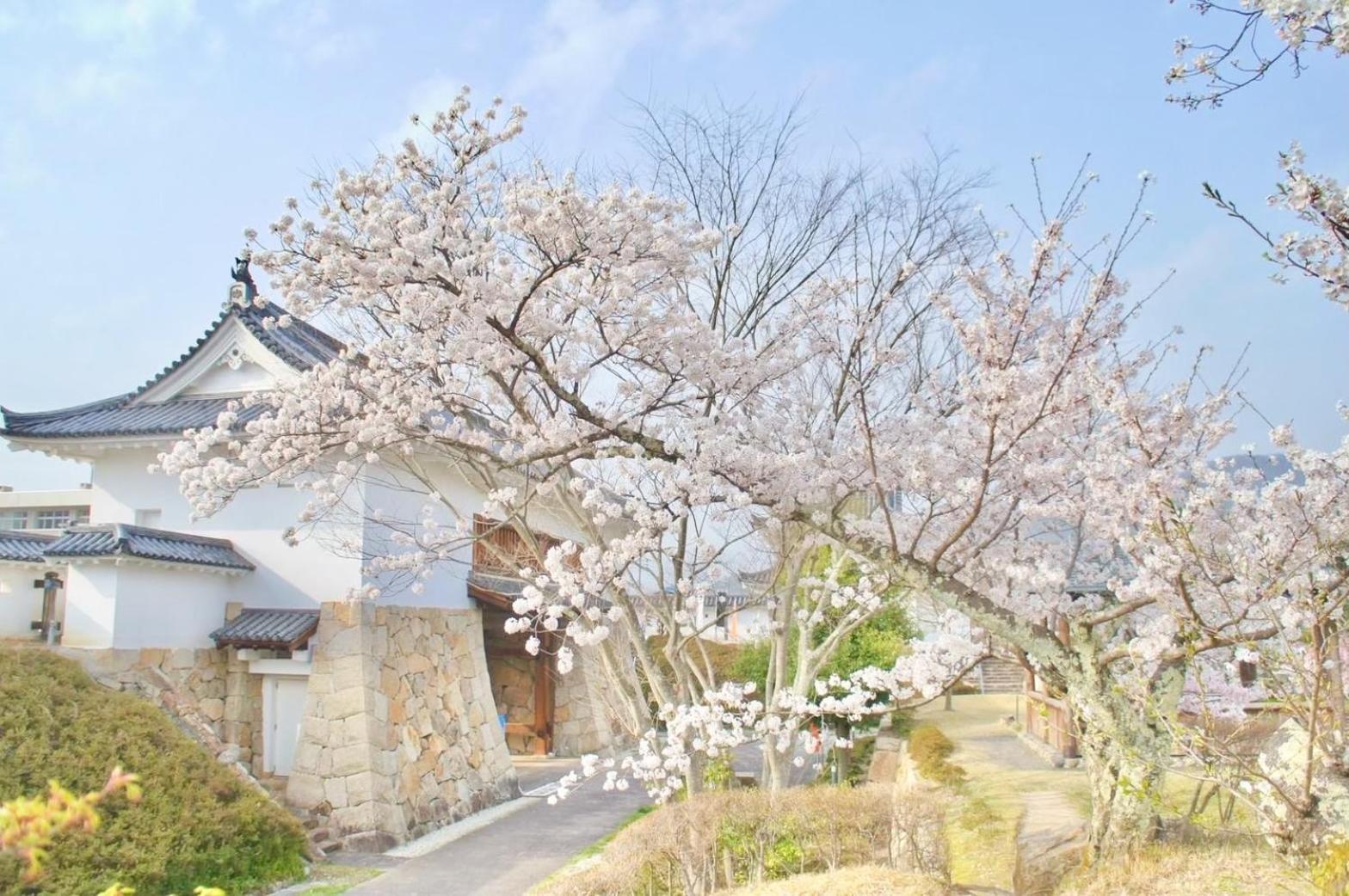 古民家の宿宰嘉庵 Traditionaljapanisehotel Saikaan Maizuru Exteriér fotografie