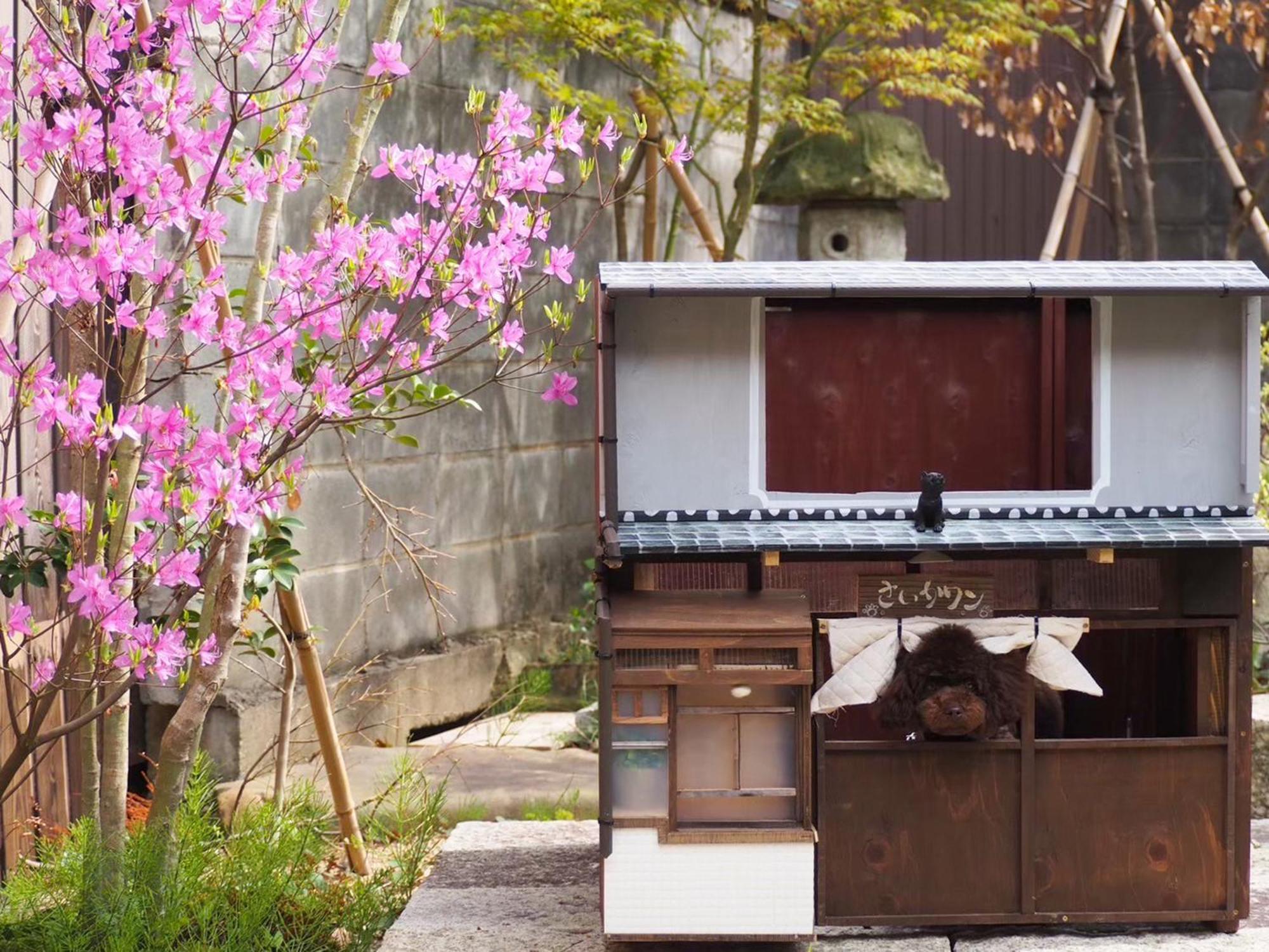古民家の宿宰嘉庵 Traditionaljapanisehotel Saikaan Maizuru Exteriér fotografie