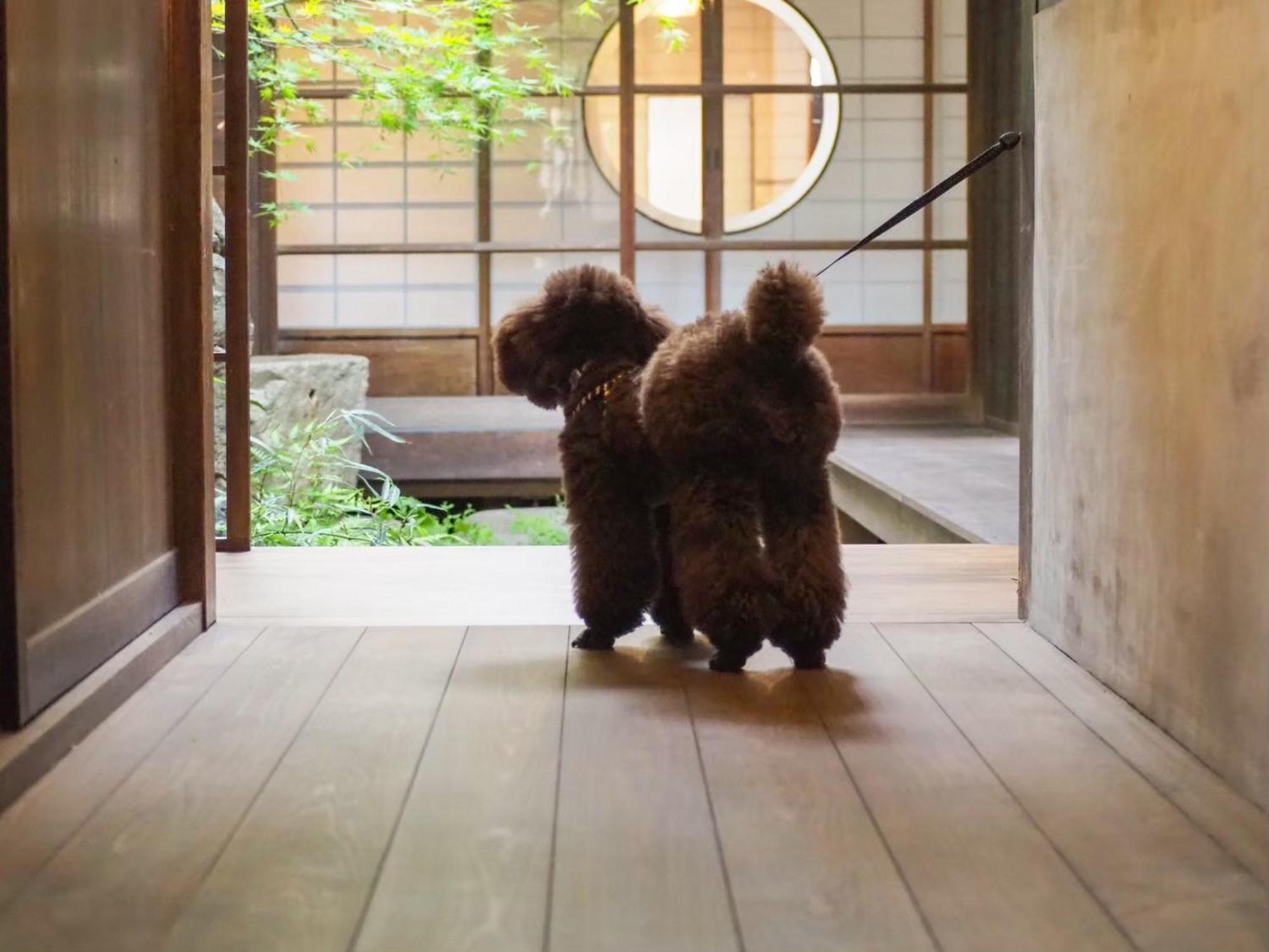 古民家の宿宰嘉庵 Traditionaljapanisehotel Saikaan Maizuru Exteriér fotografie